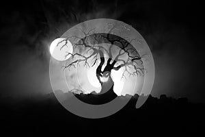 Silhouette of scary Halloween tree with horror face on dark foggy toned background with moon on back side. Scary horror tree with