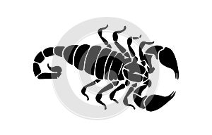 Silhouette of scorpion on white background