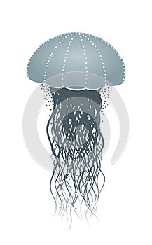 Silhouette of sea jellyfish.