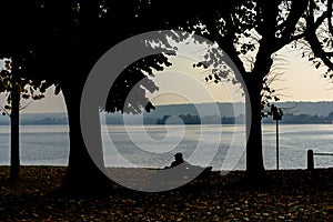 Silhouette of a seated man between two trees on a bench and looking at the lake.Italy, Arona.