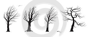 Silhouette Set of Old Trees Without Leaves in Wind