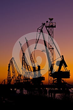 Silhouette of several cranes in a harbor