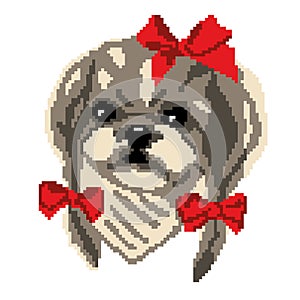 Silhouette of a Shih Tzu breed dog with red bows. Muzzle dog head drawn squares, pixels. Portrait of a Shih Tzu breed dog