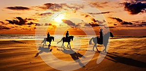 Silhouette shot of horseback riding on the shore with breathtaking golden sunset background