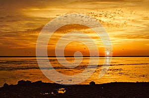 Silhouette shot of a majestic seascape sunset