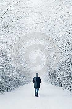 Silhouette of a single man walking on a snow covered forest path in winter