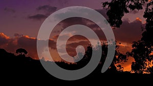 Silhouette Of A Single Tree On Top Of The Distanced Hill At Cloudy Sunset.