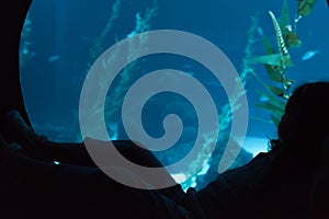 Silhouette of a small child looking through the glass in the aquarium