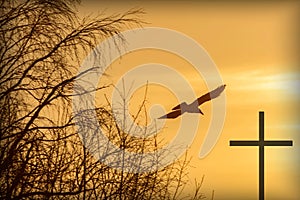 Silhouette of a soaring bird and religious cross on a background of dramatic sunset