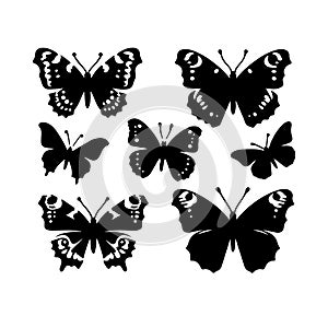 Silhouette Solid Vector Icon Set Of butterflies, Moth, Lepidopteran, Insect, Papillon. photo