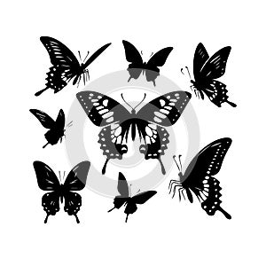 Silhouette Solid Vector Icon Set Of butterflies, Moth, Lepidopteran, Insect, Papillon. photo