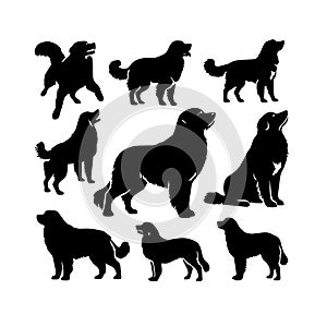 Silhouette Solid Vector Icon Set Of Dog, Breeds, Canine, Pooch, Hound, Puppy, Mutt, Pet, Doggy.