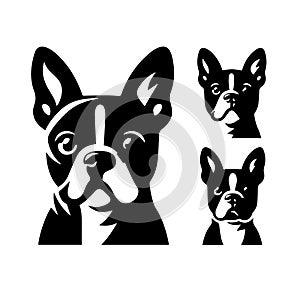 Silhouette Solid Vector Icon Set Of Dog, Breeds, Canine, Pooch, Hound, Puppy, Mutt, Pet, Doggy.