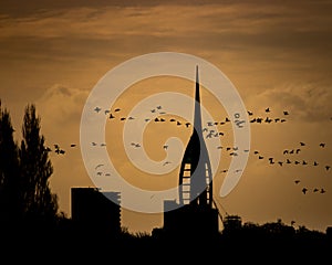 A silhouette of the spinnaker tower in portsmouth with a flock of birds flying past