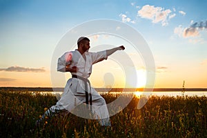 Silhouette of sportive man training karate in field at sunrise.