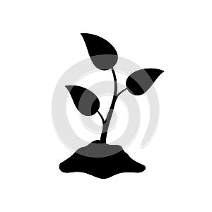Silhouette Sprout in hill of earth. Outline logo of agriculture, seeds, seedlings. Black simple illustration of eco farm, natural
