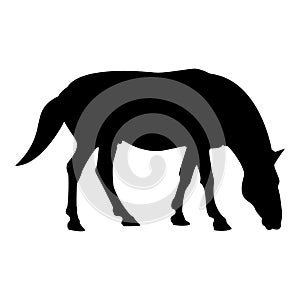 Silhouette steed horse equestrian equine stallion thoroughbred mustang black color vector illustration flat style image