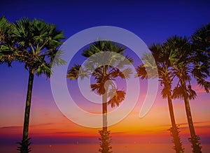 Silhouette sugar palm trees on beach at twilight.