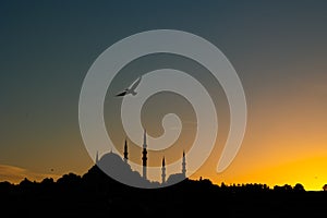 Silhouette of Suleymaniye Mosque and seagull at sunset. Islamic photo