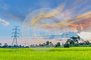 Silhouette the sunrise with the green paddy rice field, blurred the high voltage electric wire pole tower, the beautiful sky, and