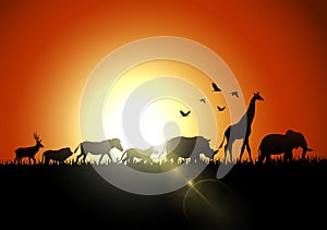 Silhouette sunset animals on savannas