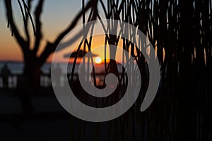 Silhouette at sunset of people walking on the edge of Porto da Barra