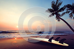 Silhouette surfboard on tropical beach at sunset in summer.