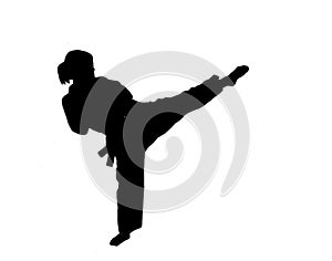 Silhouette of taekwondo girl