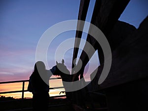 Silhouette of a teenager girl with long hair standing by a gate to a field with horses at sunset. Beautiful colorful sky in the