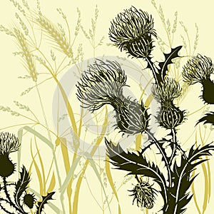 Silhouette of thistle on background meadow plants and cereals. Floral composition with wild flowers.