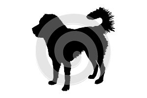 Silhouette of a thoroughbred Caucasian Shepherd dog. Vector stock illustration eps 10