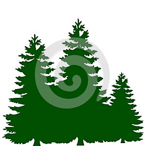 Silhouette of three green Christmas trees, on white background,