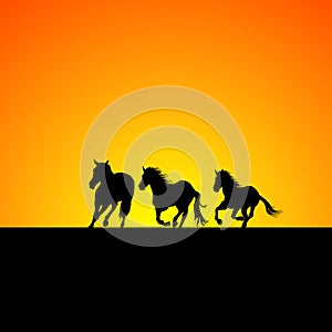 Silhouette of three horses galloping at sunrise