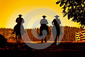 Silhouette of three men on horseback, going up a path photo