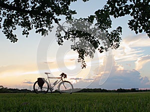 Silhouette of Touring Bike with Clouds and Tree Foliage