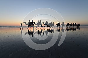 Silhouette of tourists on camel ride Cable Beach Broome Kimberley Western Australia