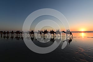 Silhouette of tourists on camel ride Cable Beach Broome Kimberley Western Australia