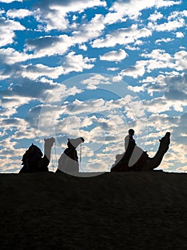 Silhouette of tourists enjoying camel desert safari with beautiful sky