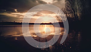 Silhouette of tree, back lit by sunset generated by AI