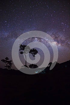 Silhouette of tree and beautiful milkyway on a night sky