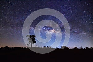 Silhouette of tree and beautiful milkyway on a night sky. Long exposure photograph