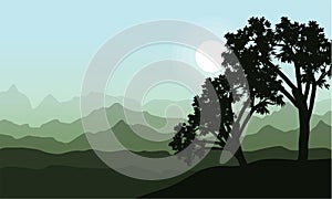Silhouette of tree beauy landscape