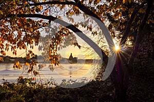 Silhouette of a tree bent over a river with a small castle ruin in the background. Yellow and orange leaf illuminated by rising