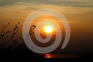 Silhouette of tree branches and leaves in autumn in front of the sun at sunset