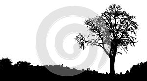 Silhouette of tree with branches, winter scenery