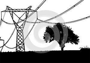 Silhouette of tree, bush with bare branches with electricity transformer.