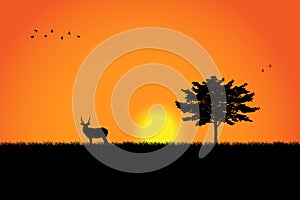 Silhouette of tree and deer over beautiful sunset