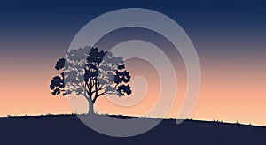 Silhouette of a tree on a gently sloping hill against a twilight sky. The gradient photo