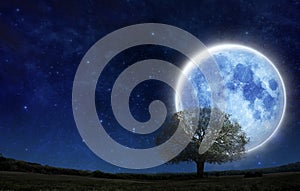 Silhouette tree on green grass field with big blue moon. Super full moon with silhouette tree in night sky with text copy space.