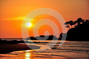 Silhouette tree and  island with sea sunset background.